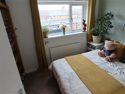 Picture 11